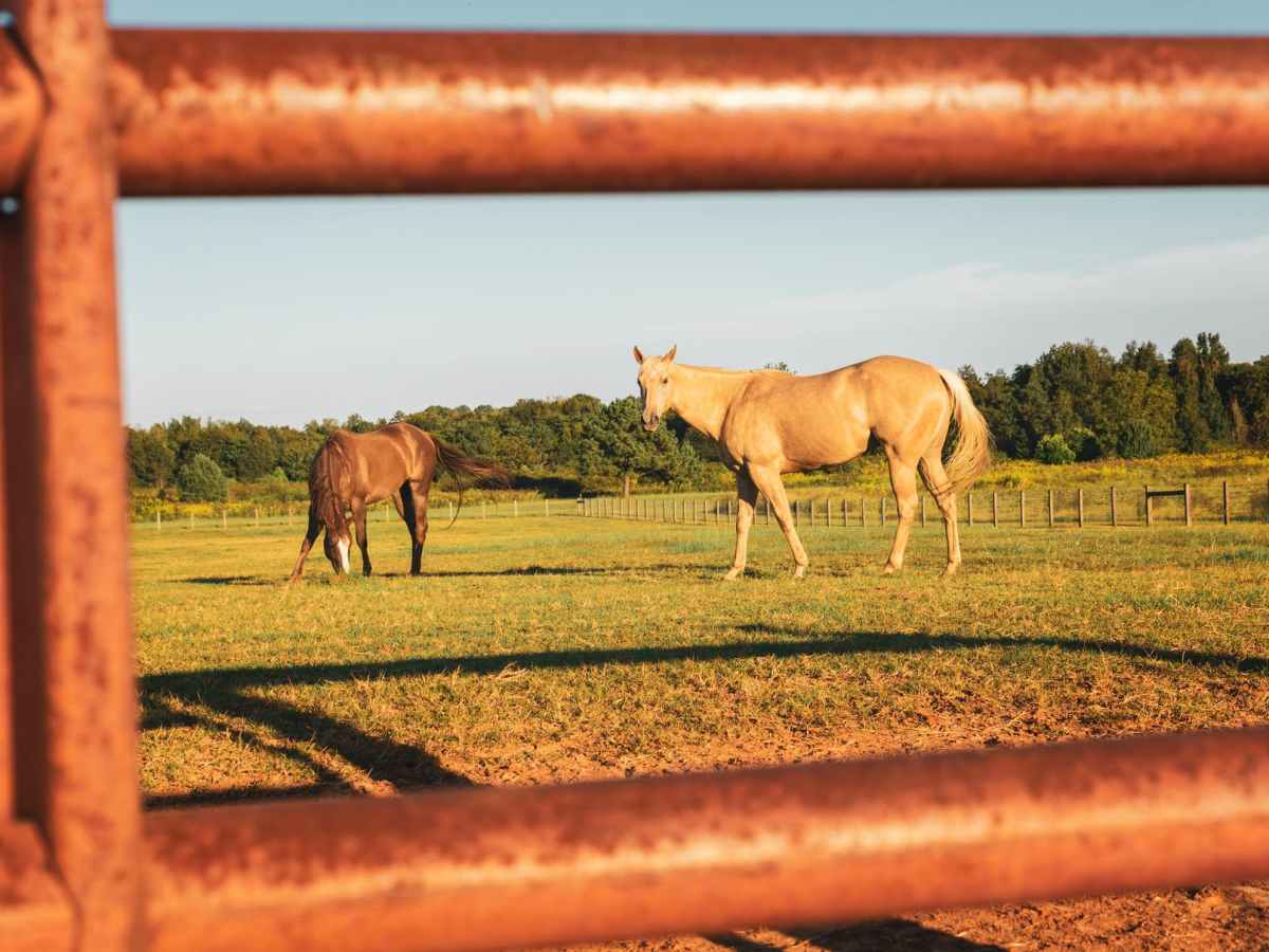 Persuading Others – Kentucky Derby&nbsp;Edition